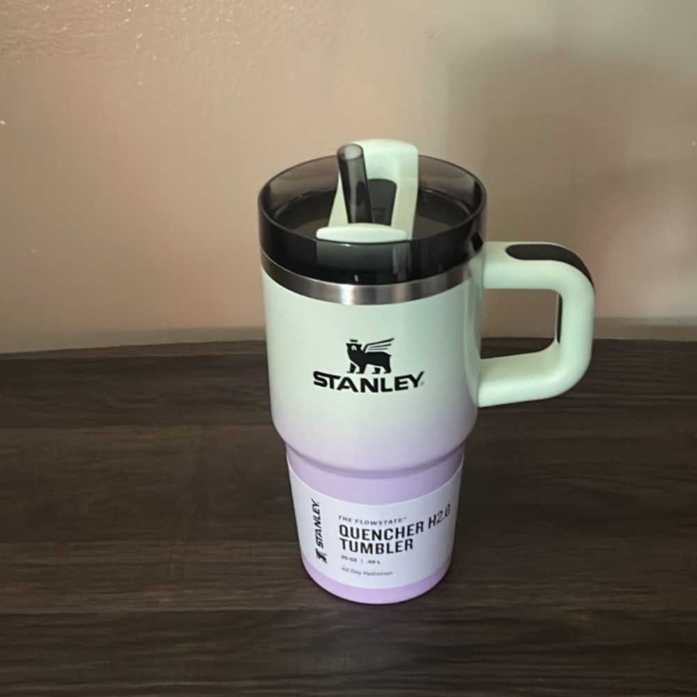 Stanley x Target Halloween Collab - Hypnotic Green- 20 oz Quencher